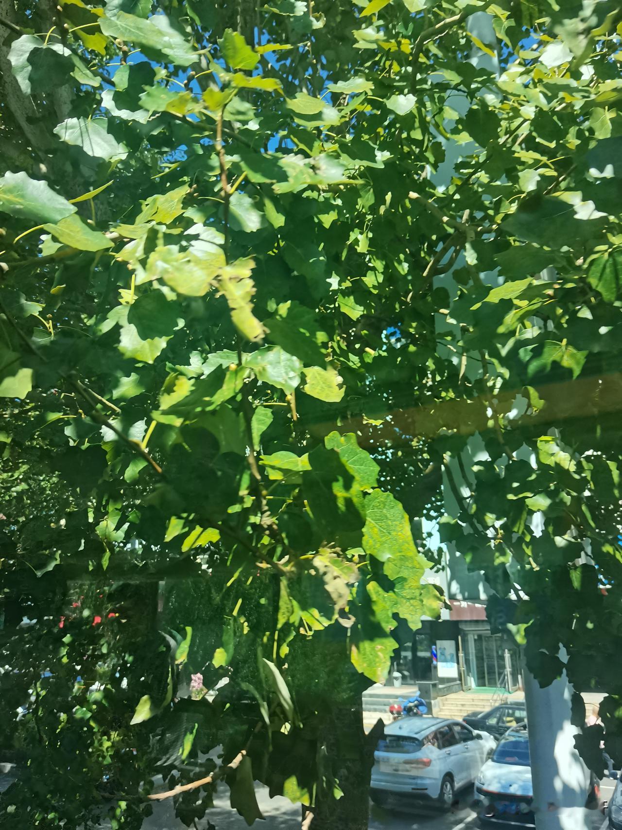 十年前就因为长春黑车的事和一个自称哈工大的博士打了一架[捂脸哭]其实我是纯属护