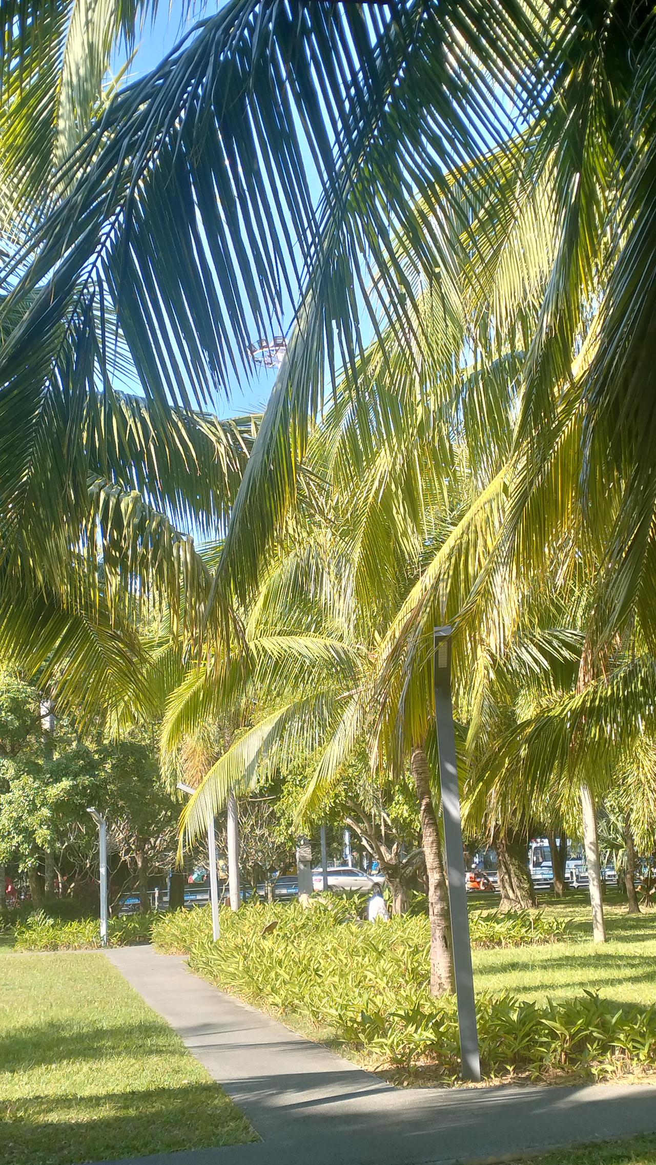 自驾海南之旅35——旅居陵水​10年来，第五次来到海南，三次到陵水。在陵水三次