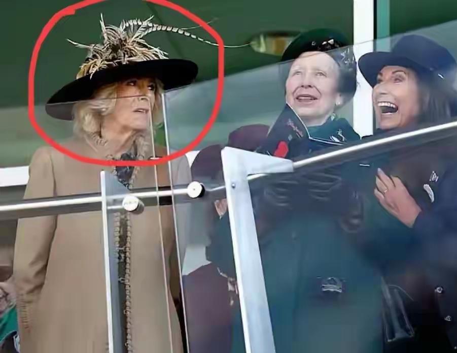 卡米拉都不装了！与卡罗尔同台，一个眼神满是深意！凯特的娘家，近期是春风得意，王