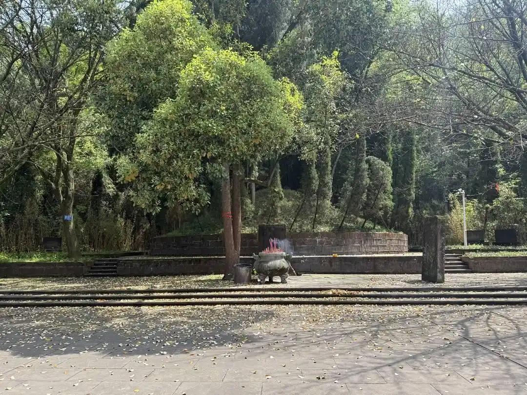 祖训“宋氏不绝，守墓不止”，96岁的宋克成已拄着拐杖出现在南宋丞相虞允文墓前