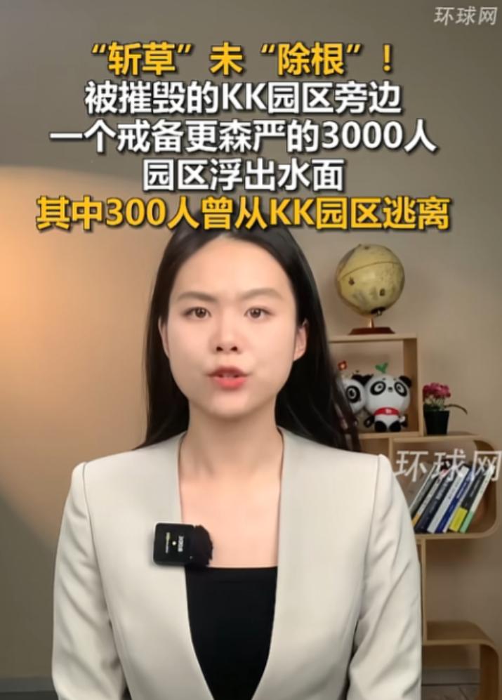 缅甸电诈这波“死灰复燃”的操作，真的让人血压飙升，2025年10月缅甸军方刚把臭