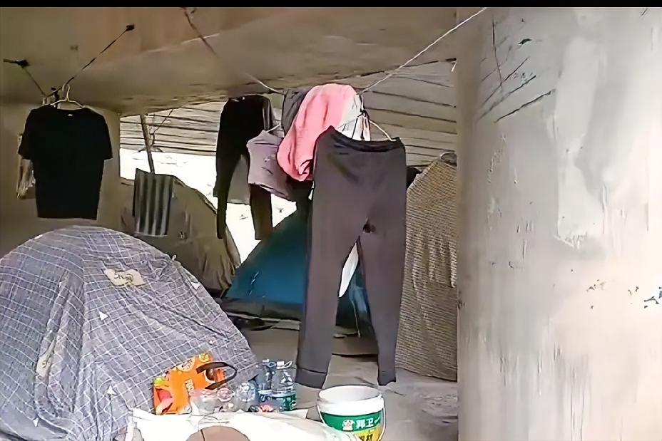 我叫头哥，一个普通的打工者。今天，我想说说桥洞下的生活。事情要从昨天说起。我