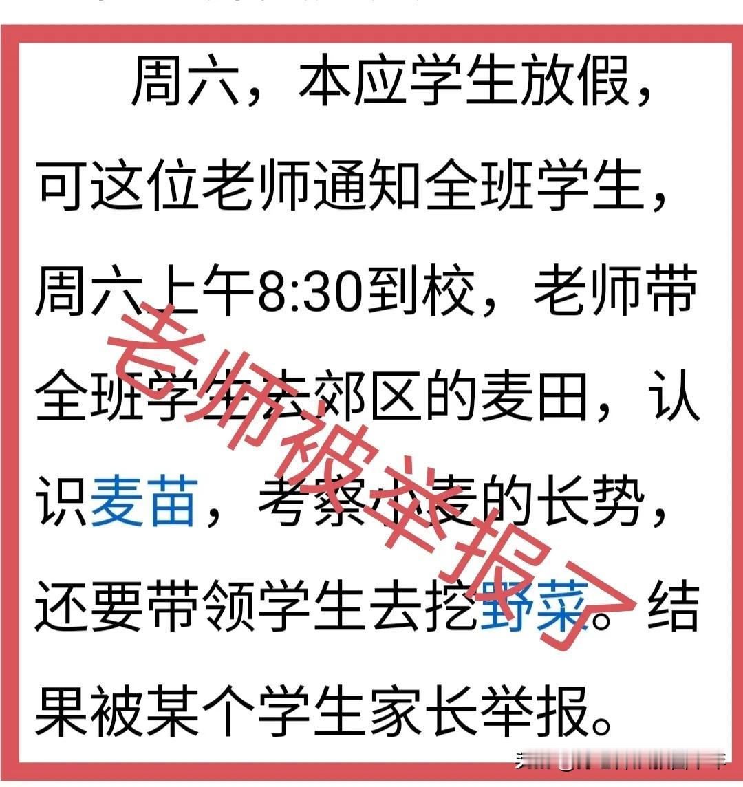 多么有意义的一件事，却被家长举报了。老师牺牲休息时间，决定周六上午带领全班学生