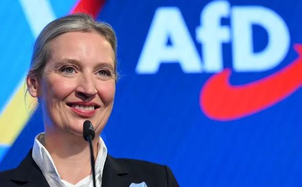 德国那些大人物，昨晚估计都没睡好。不是因为咖啡喝多了，是吓的。他们嘴里那个“极右