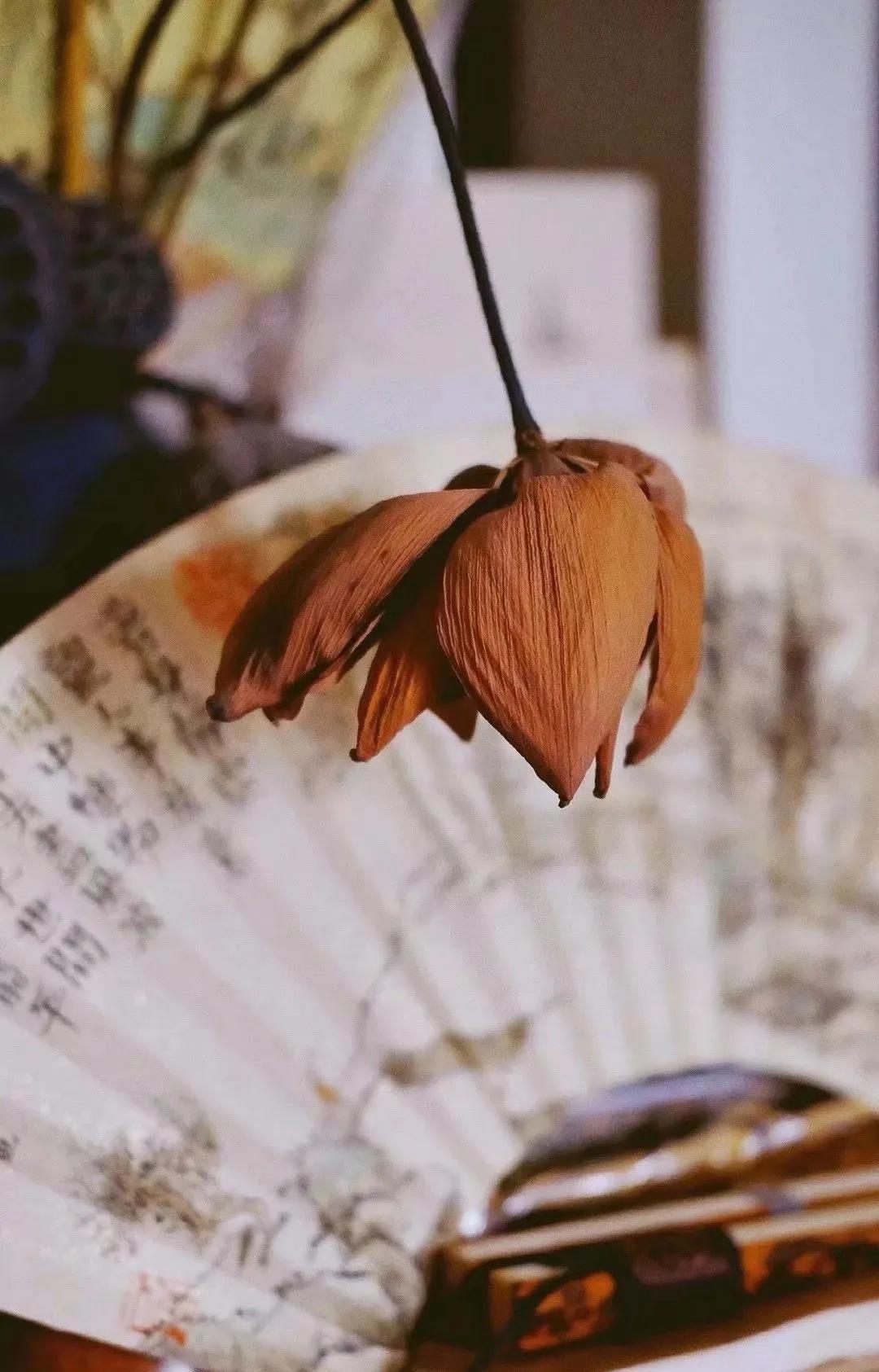 一段非常扎心的话：“你所有的痛苦与困顿，都是自己一个人的事情，你的生死，不关任何