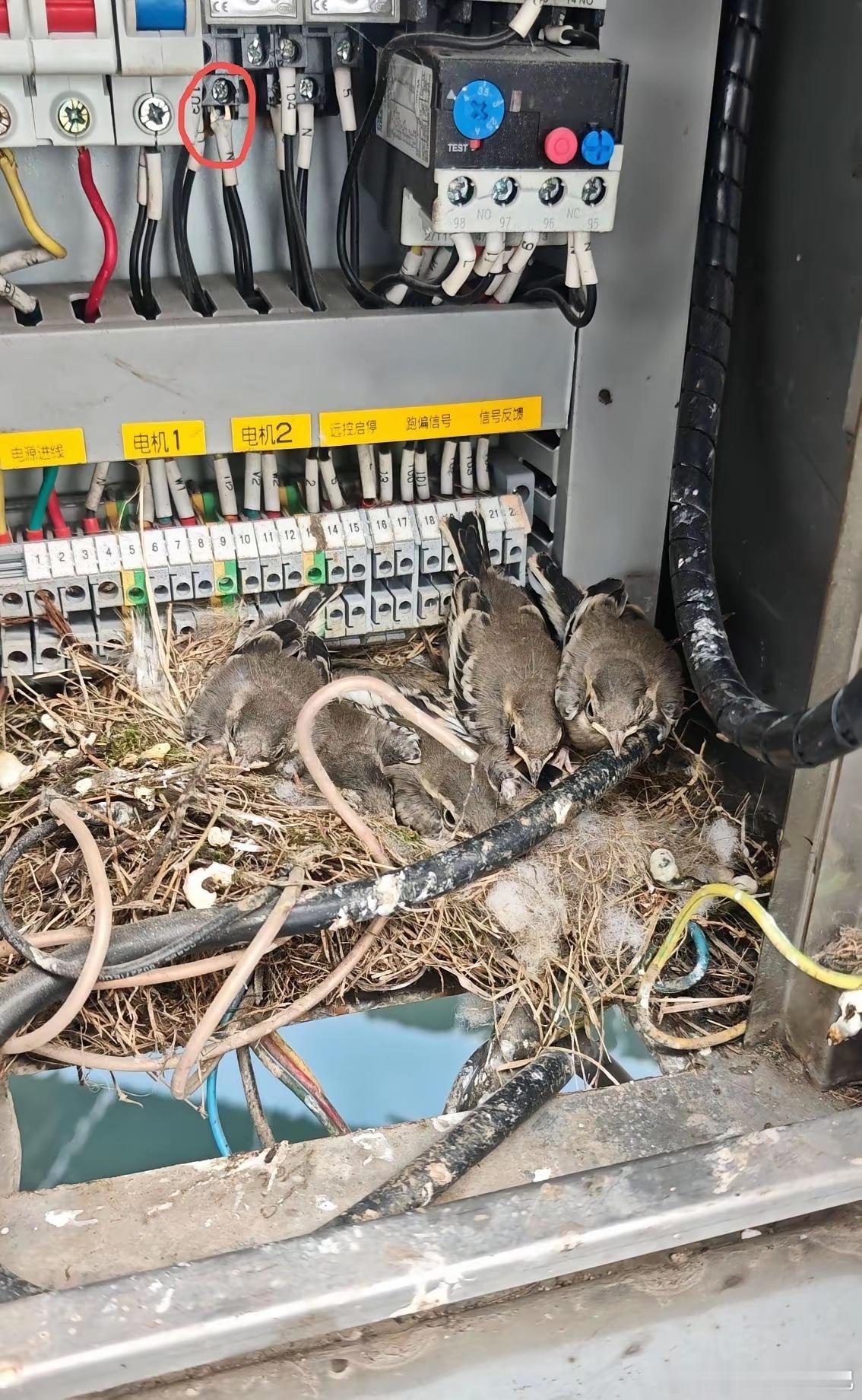 师傅，这螺丝怎么红了