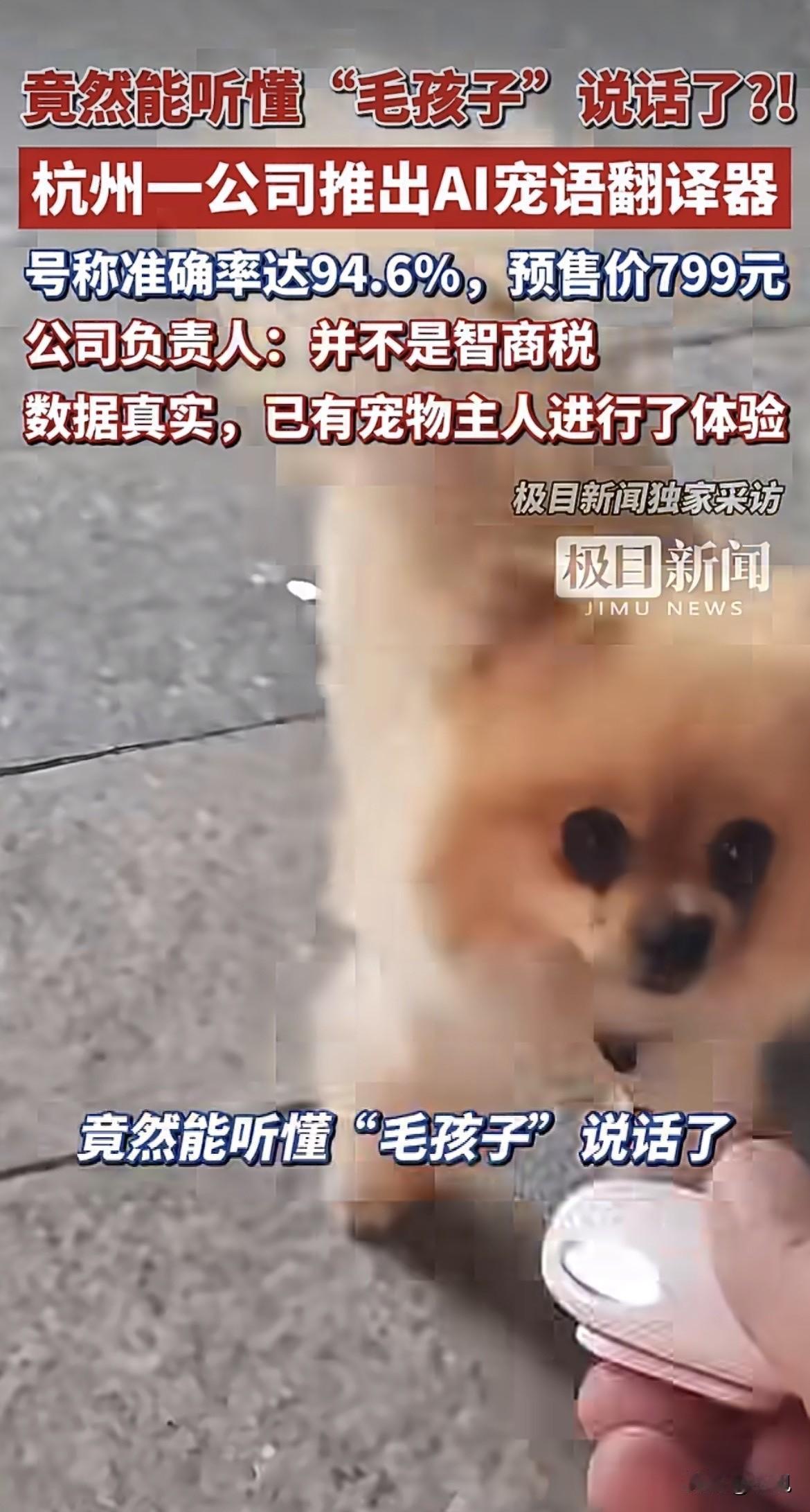 猫大叫一声，机器蹦出来一句：“离我远点行不行，本来就烦。”就这一句，养猫的人