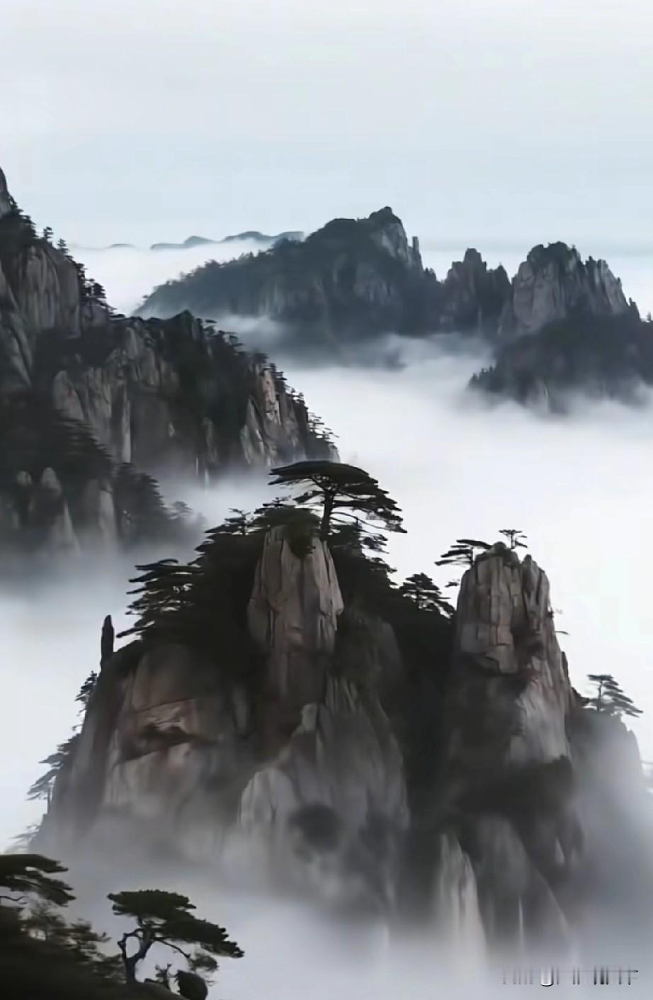 安徽省第6座轨道交通城市，黄山旅游T1线项目有新进展了安徽省黄山市官方黄山发布