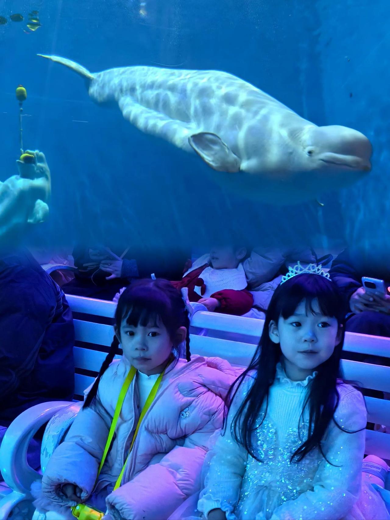 叫你别抽烟，这回听话了吧[笑着哭]近日，辽宁省大连市一海洋馆内，一名男子正在悠闲