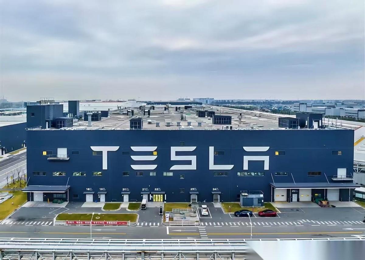 一片原本种满庄稼的农田，足足1290亩，转手就按市场价十分之一的价格给了特斯拉建