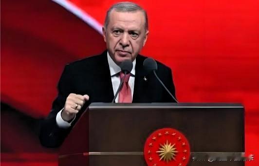 快报！土耳其🇹🇷2025最后一夜官宣！2025年深夜，土耳其总统埃尔