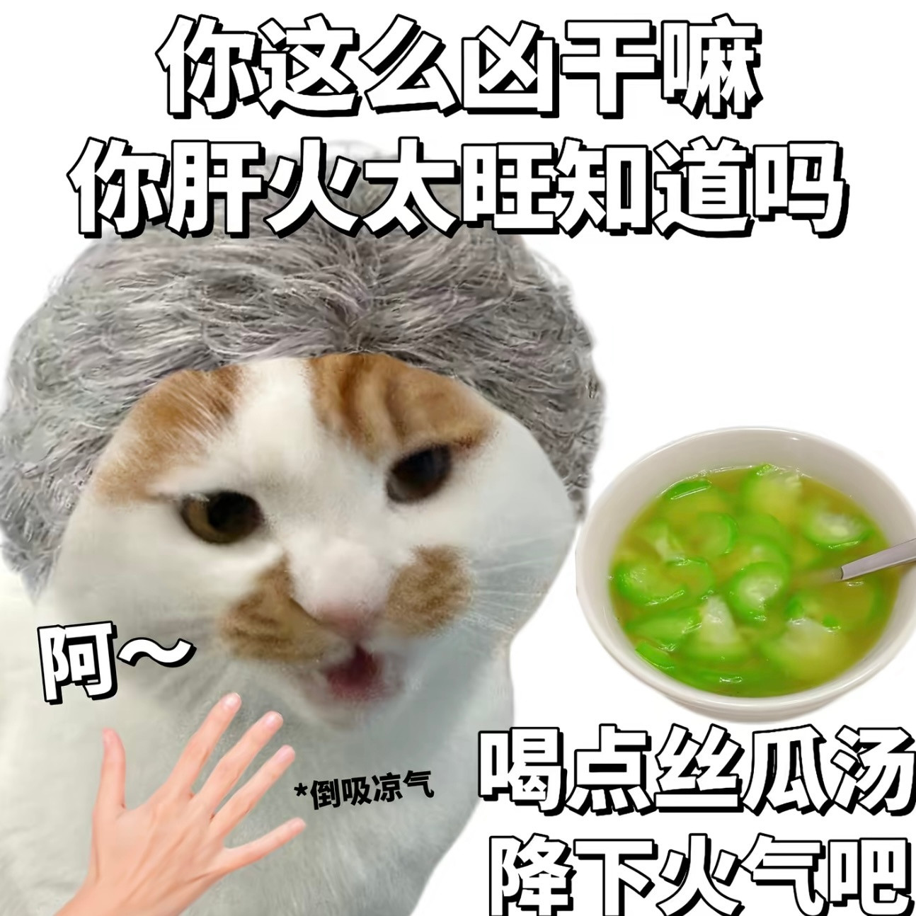 生活请喝丝瓜汤友，你今天被问喝汤了吗？​​​