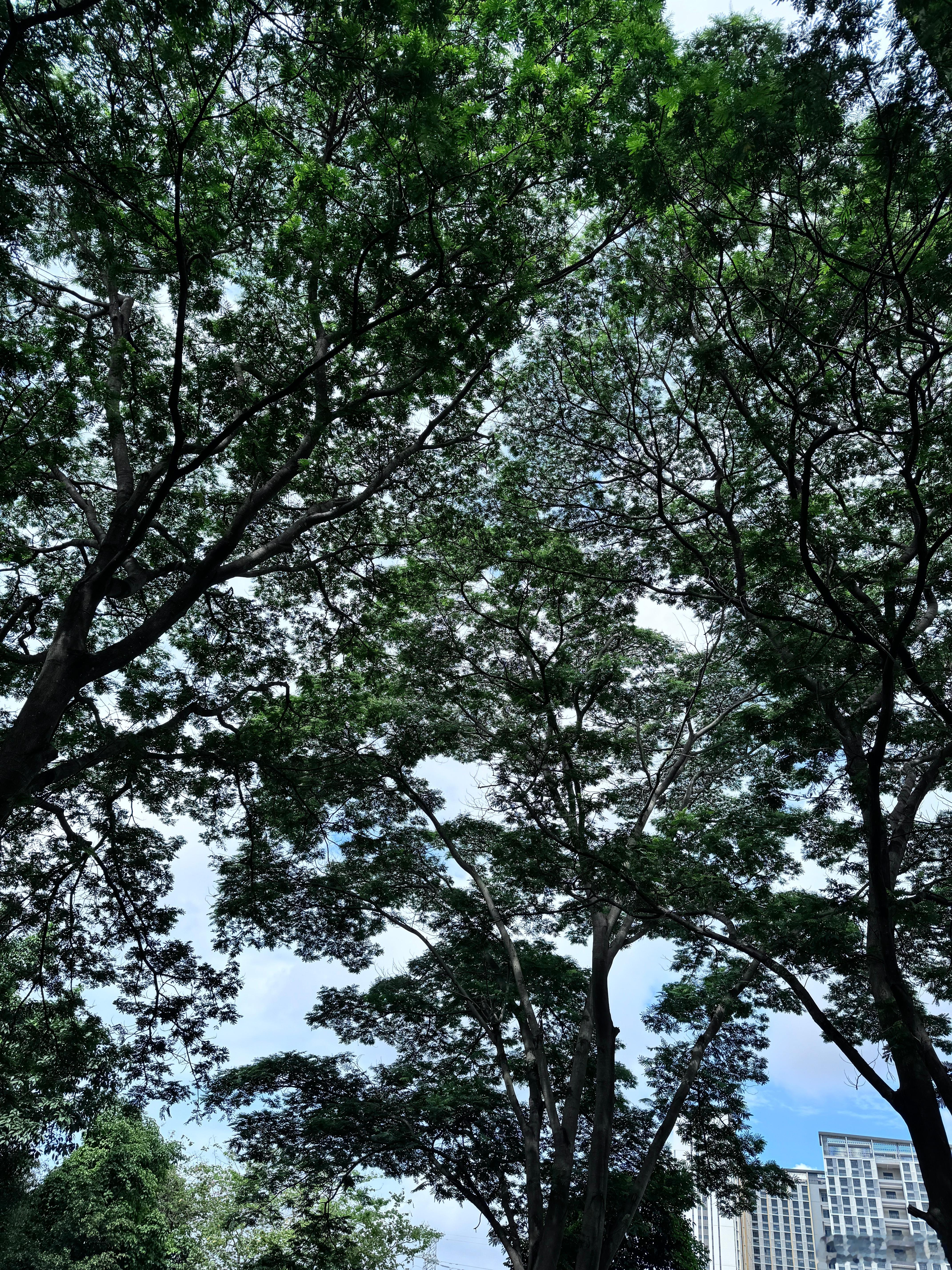 准备去珠海坐飞机飞上海。回来躺了两天，身心舒畅。都说广东天气闷热，气候潮湿，其实