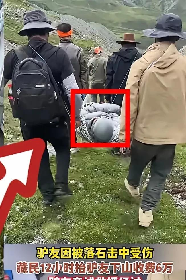 这次被藏民抬下山的那位女子不是她不想下山，也不是因为怕花钱，而是通过这个事，打