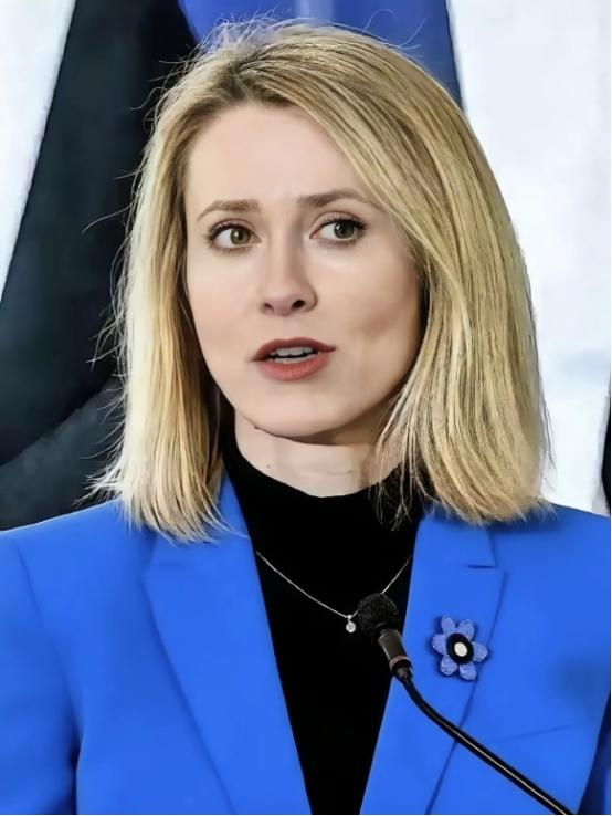 欧盟那帮人开会，有个女议员正唾沫横飞地渲染“中国威胁论”，调子都快起飞了。结果挪