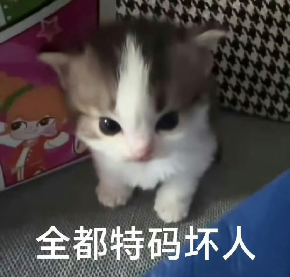 我跟你们说，我们无可替代里的女的没一个好惹的！哪怕家庭破裂一手烂牌也要凭实力踏出一条路，哪怕丈夫冷漠