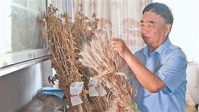 追梦科学种田路