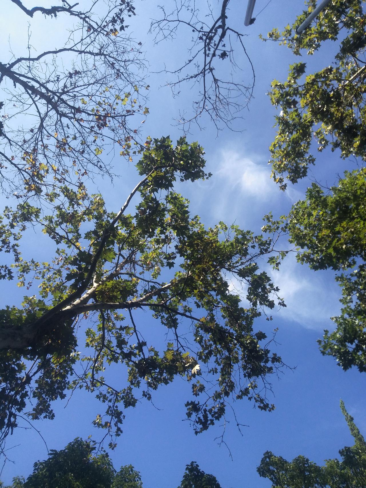 哈哈……要被这段对话笑死了！女儿对妈妈说:“妈，压力太大，我不想工作了，想辞职