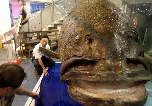 2013年，南海海域风平浪静，南沙几位经验丰富的渔民像往常一样驾船出海，准备进行