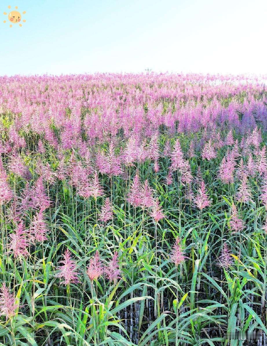 我想偷偷的问一下有儿子的家庭假如我女儿嫁给你儿子以后就是到了逢年过节的时候