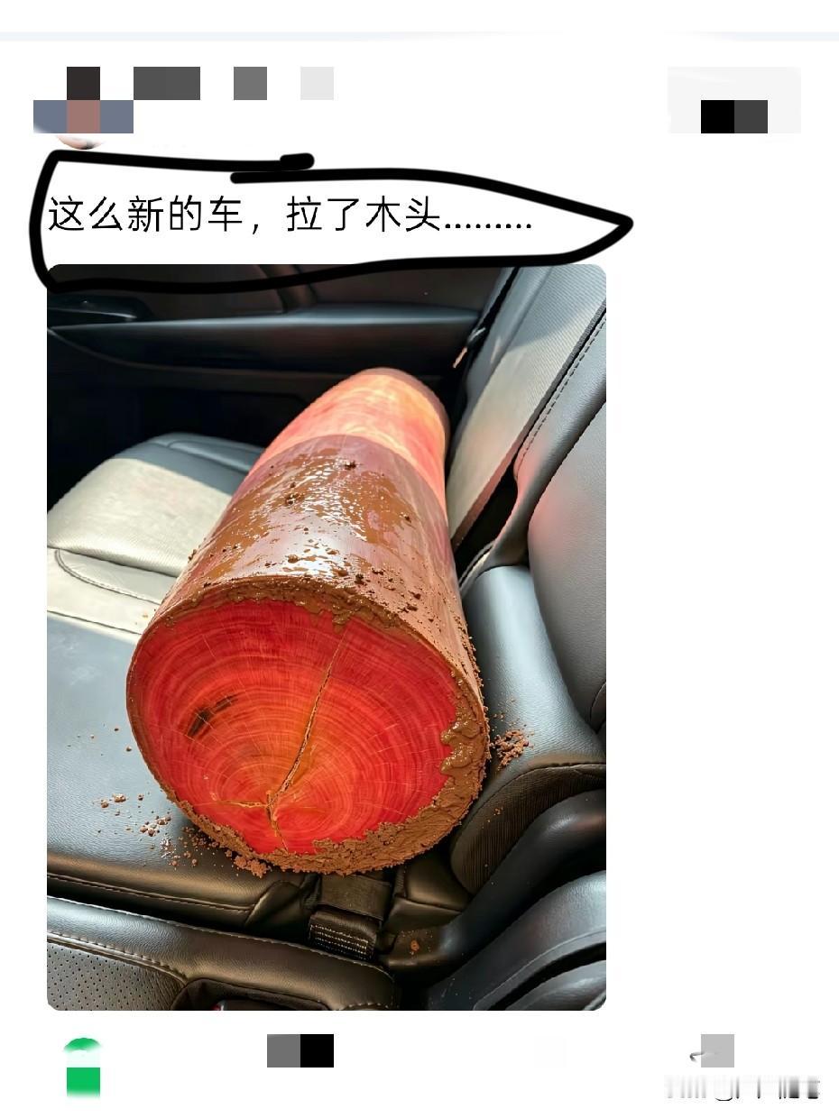 这木头一看就知道绝非凡品。