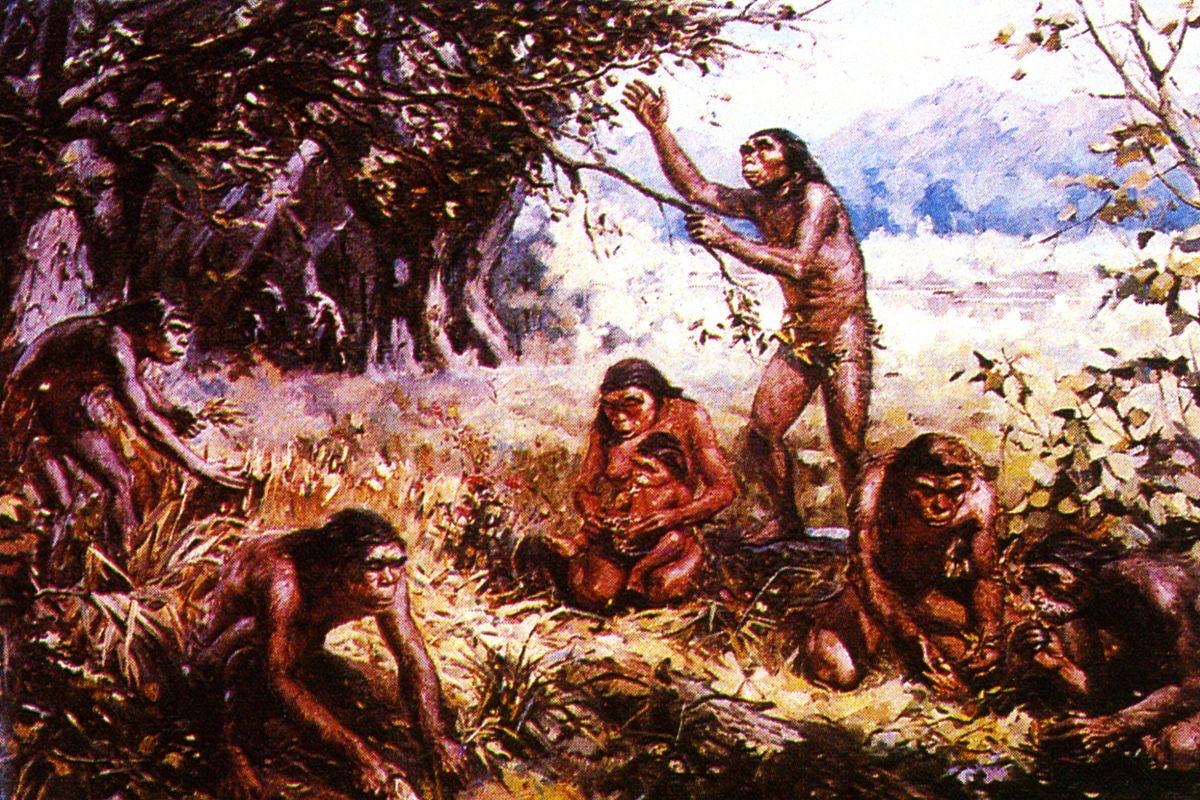 人类文明起源于哪里?人类文明的起源是一个复杂且充满争议的话题，目前学术界普遍认为