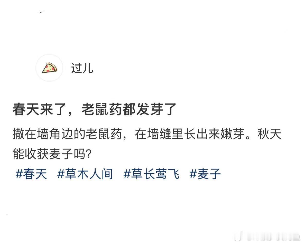 没想到连老鼠药都发芽了​​​