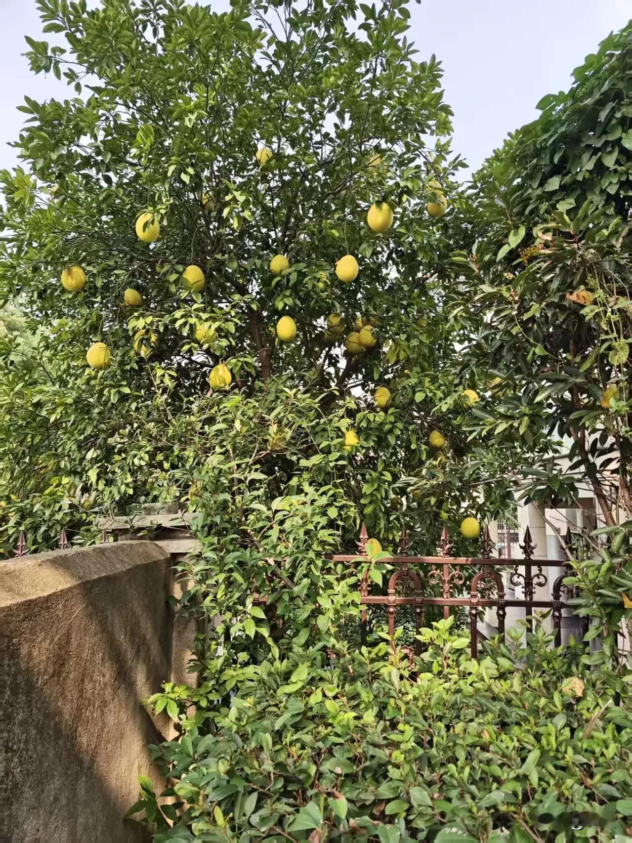 陆游说：“纸上得来终觉浅，绝知此事要躬行。”的确如此。很喜欢与弟弟聊天，