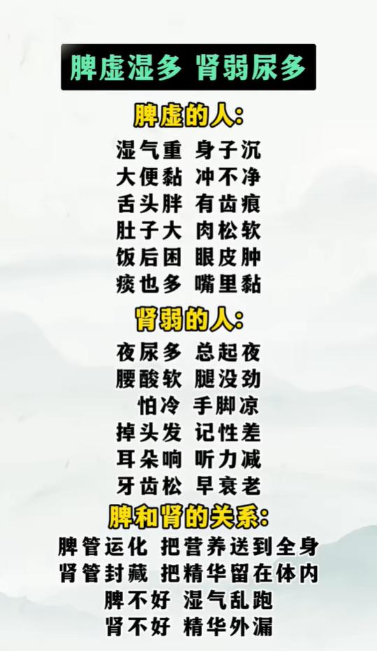 分清脾虚与肾气偏弱，看懂两类体质的身体信号