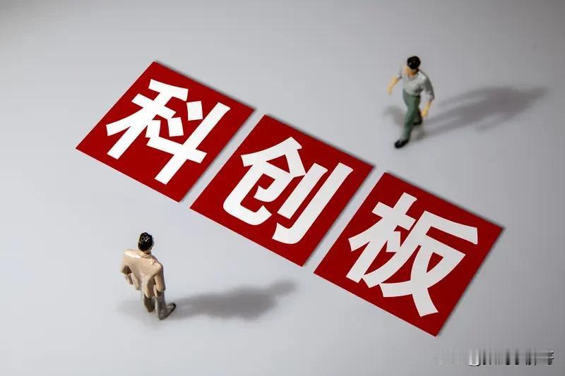 最近,还不那么赚钱的科技公司,都在科创板上市了。不赚钱但有全球化业务的科技公司