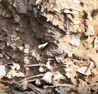 山西运城一路面塌陷后惊现大量白骨，当地文保回应称此地是南北朝时期古战场！这次