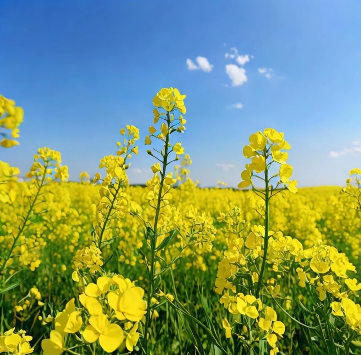 60岁以后，这几件事一定不要随便对别人说，悄悄地幸福就可以：1、自己的健康状