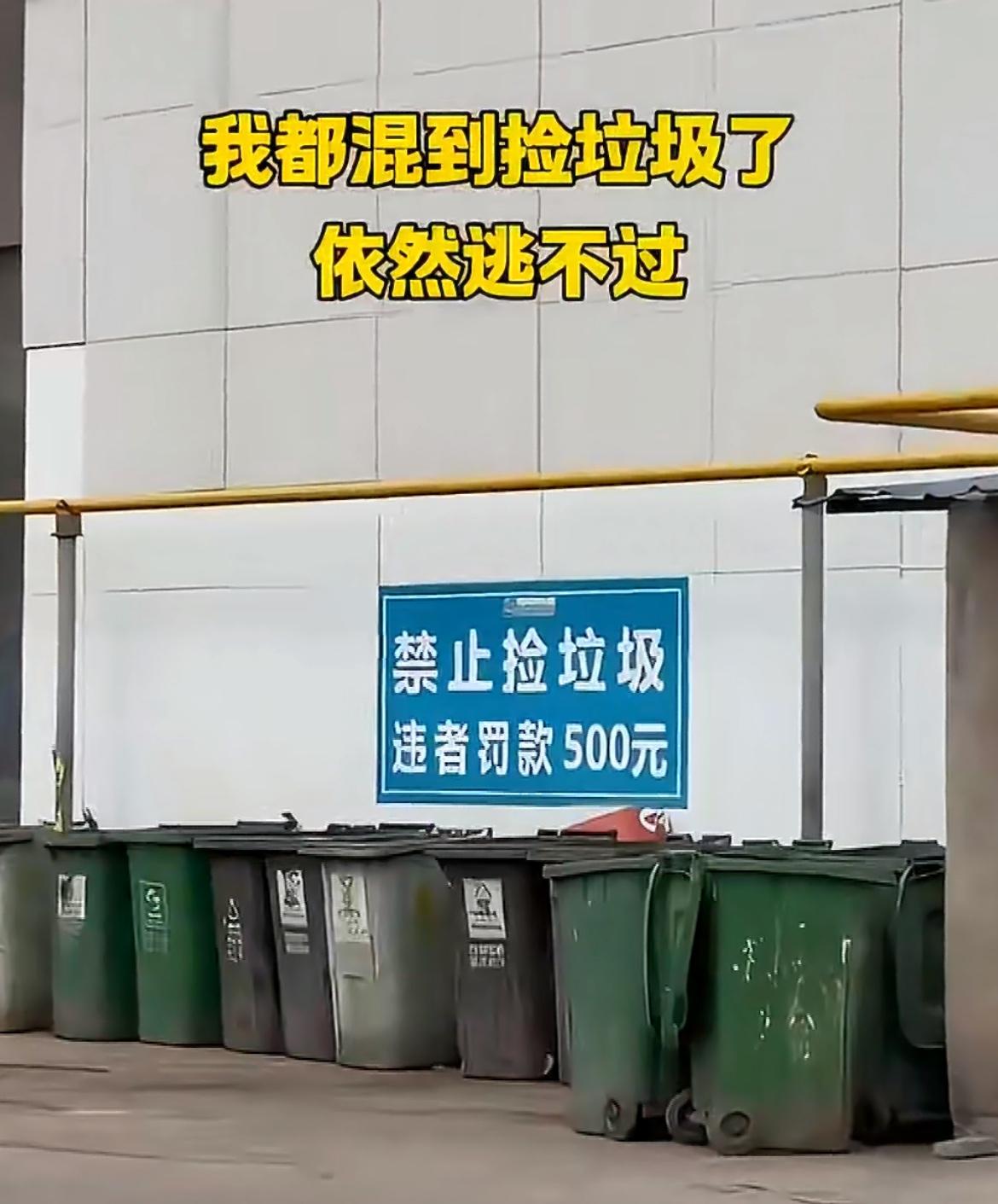 大爷大妈们的天塌了，山东某地一垃圾站惊现：禁止捡垃圾，否则罚款500元，这个处