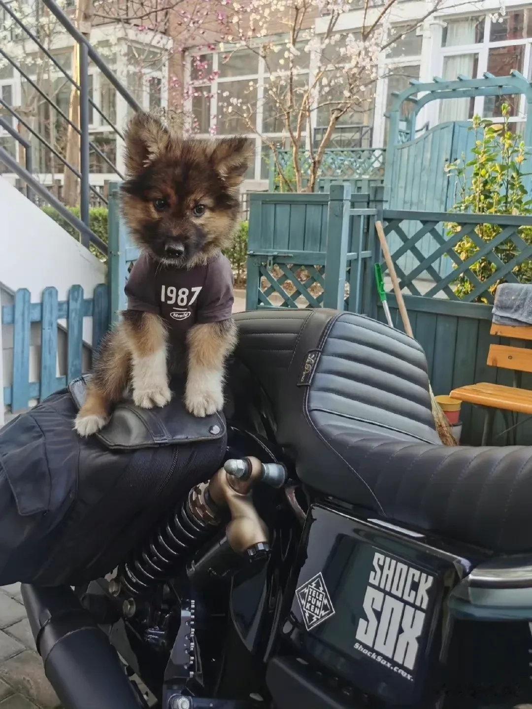 麻麻，窝来接你下班了……