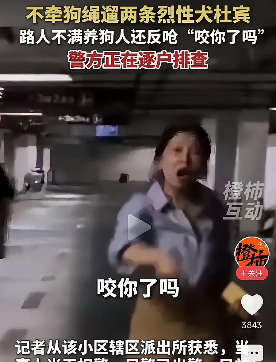 丹阳利宾犬吓到孩子，狗主反而比狗还猖狂的事情，起码说明了这四个问题：1，并不是