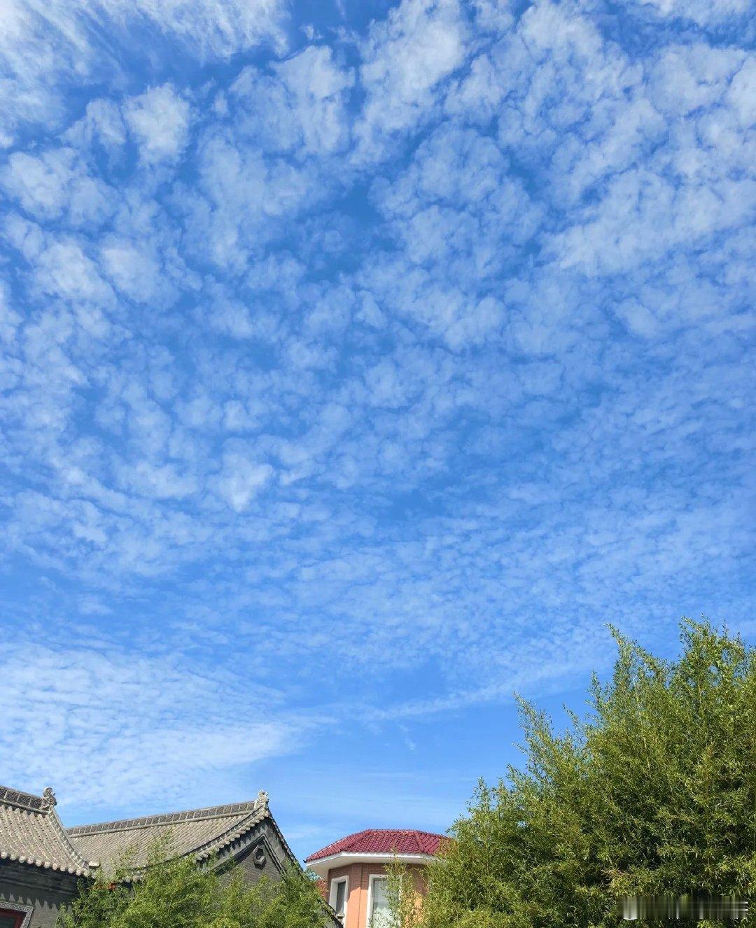 中国六大上市建筑央企排名1.中国建筑2026中报营收9758亿元，净利润230亿元，净利率2.36%