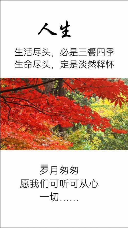 谢谢你，一路笨拙却认真地活着嘿，走了这么远，现在还好吗？有时候回头想想，这些