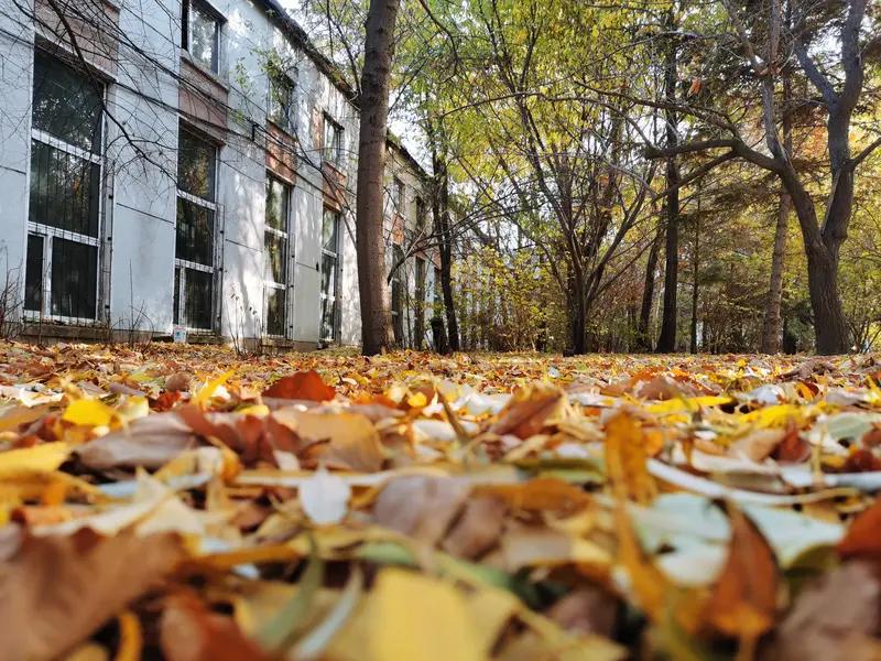 金龙鱼正遭遇“多事之秋”金龙鱼最近真是祸不单行，陷入“多事之秋”。先是和前湖北