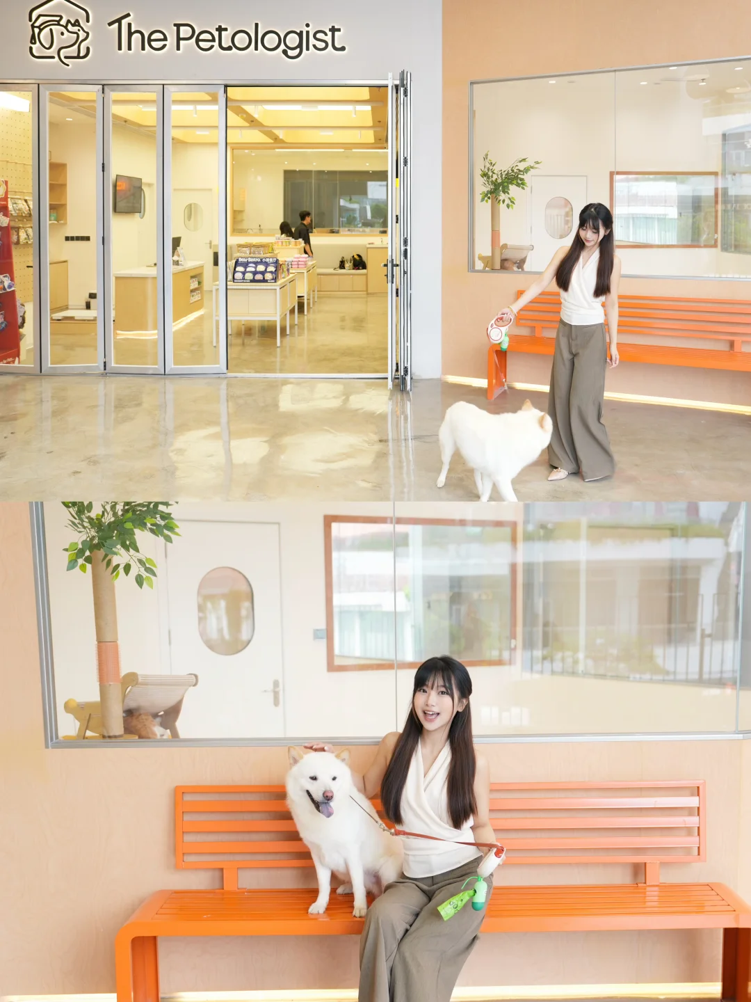 来带我的狗狗🐶上幼儿园啦！！