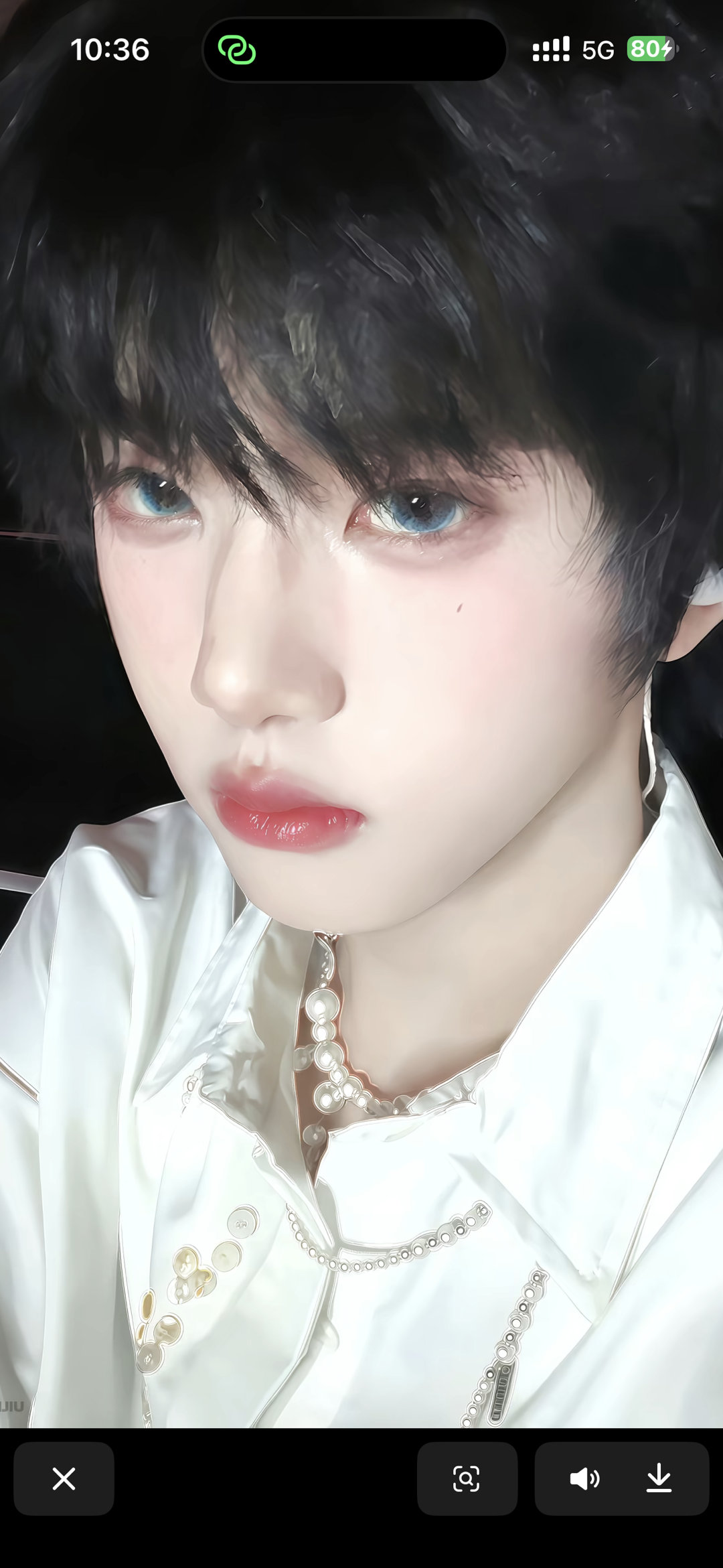 猫呀我家猫呀我家瑞瑞猫呀我家满分猫呀我家小可耐呀