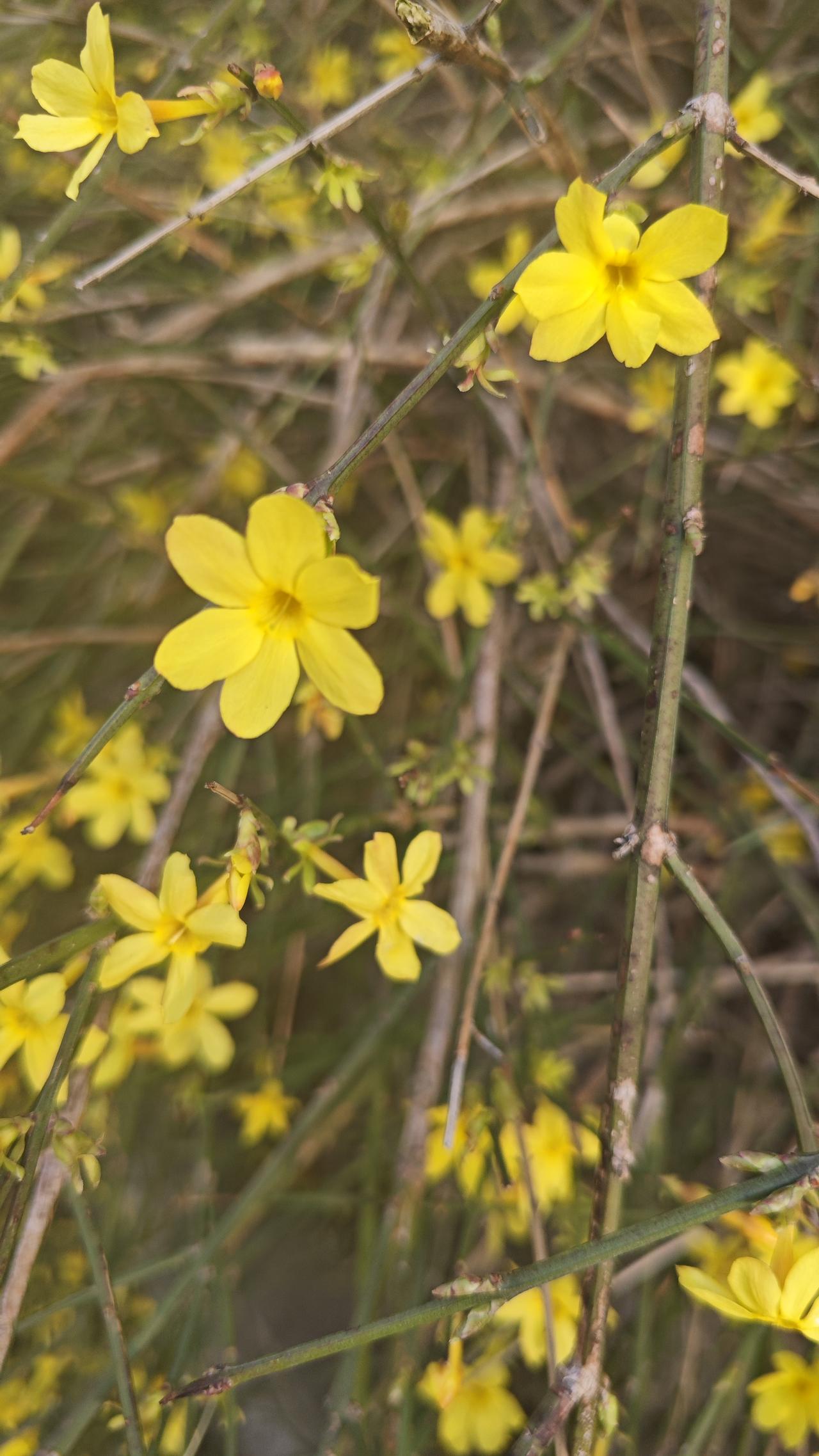 简单说，核心就这几件事：1.对生活的掌控感不是要控制一切，而是：