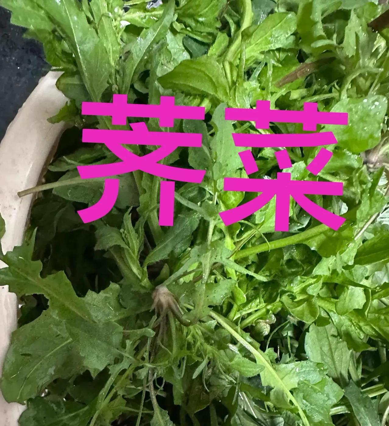 认不准野菜的看过来！网上时不时看到有人晒野菜的图片，特别是荠菜，这野菜还真是