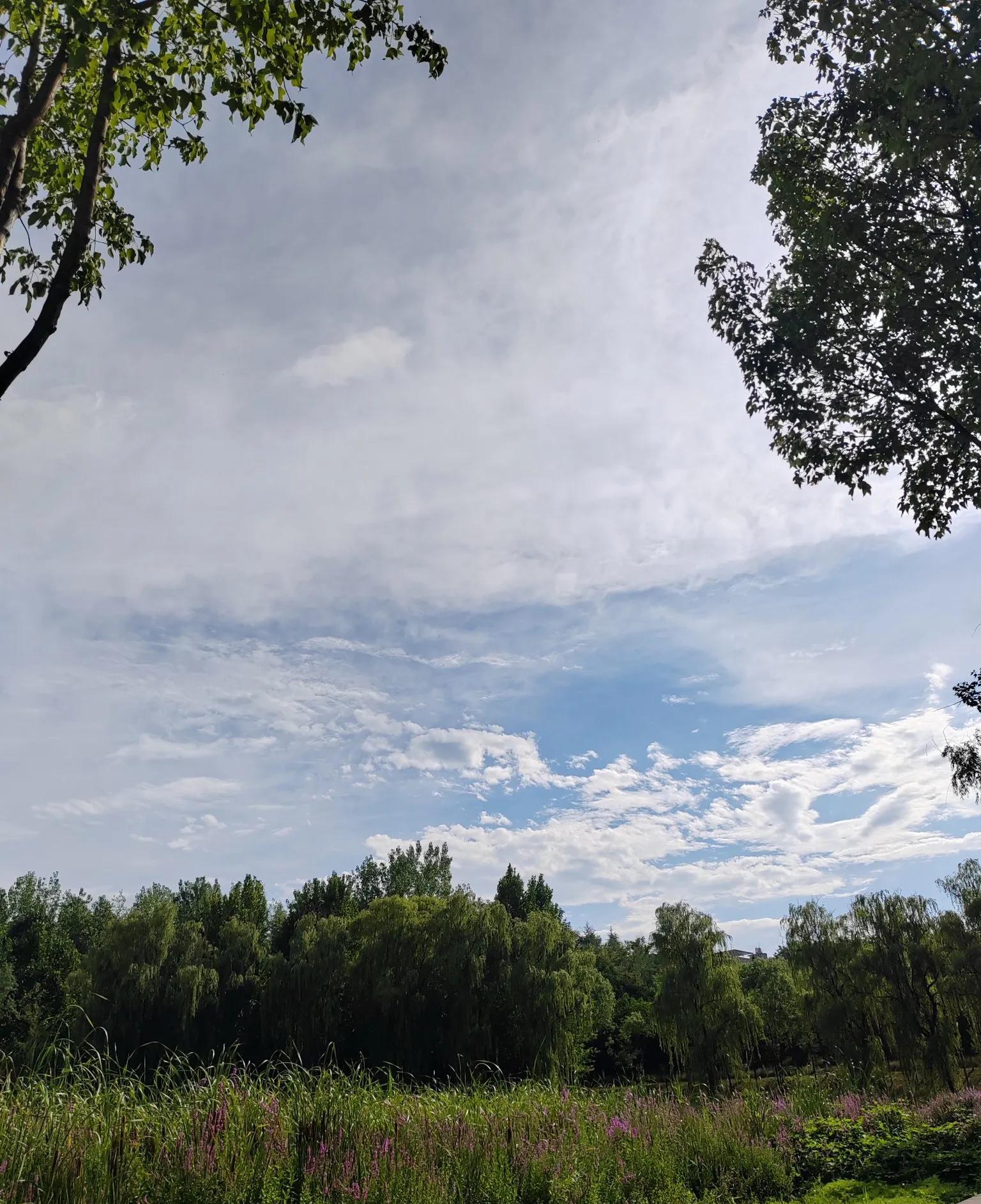 天水幼儿园事件，家长自责不已，孩子暑假住楼道检查。这起事件的核心，是焦虑
