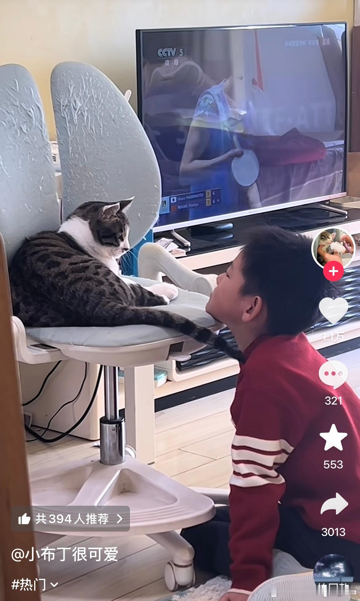 当我在刷小猫视频的时候，好像看到了🏓倒回来一看还真是😹曼咪