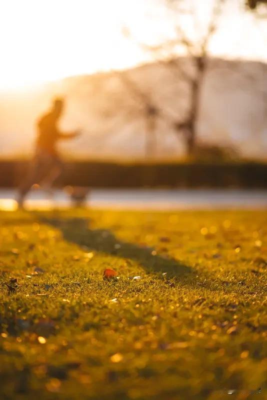 春日晨练打卡春日晨练跑步，那可是唤醒身体的绝佳方式。但很多人方法不对，像天不亮
