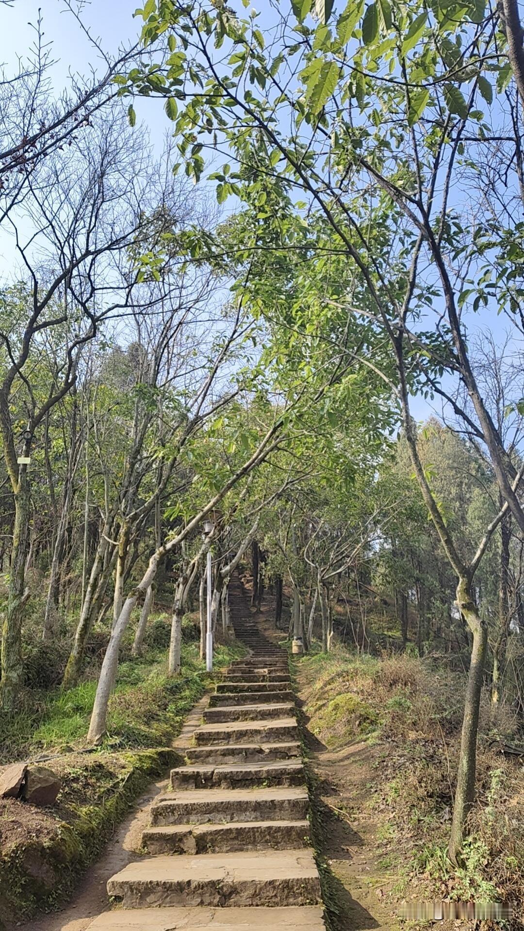 首先交代一下背景，本人结婚10年，有两个孩子在读小学。2025年和猪队友领取了离