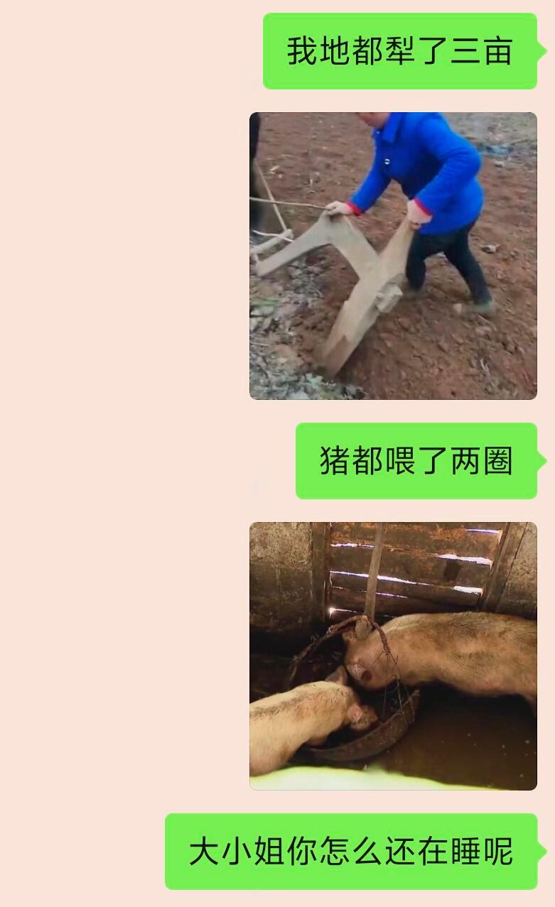 《抽象发疯语录14.0》