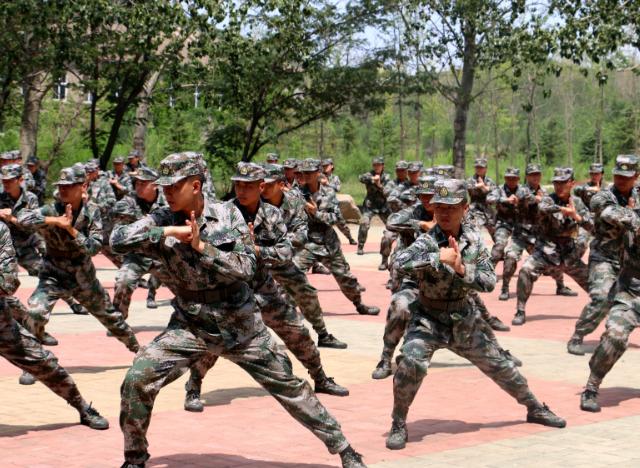 总有人随口说在部队干满十二年，回来了政府就会给安排工作，很稳当。说这话的人，估计