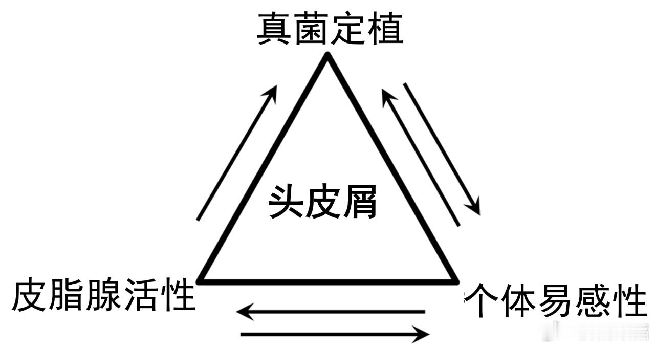 头皮屑是头皮表层角质细胞异常脱落形成的白色或灰色鳞屑，核心与头皮屏障功能受损、马