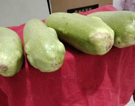 太吓人了！河北沧州杨女士花5块钱在路边流动菜摊买了5个西葫芦，当场炒了一个又脆又